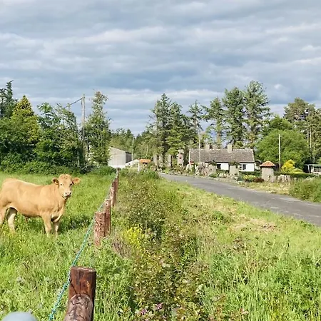 Harmony House * Roscommon
