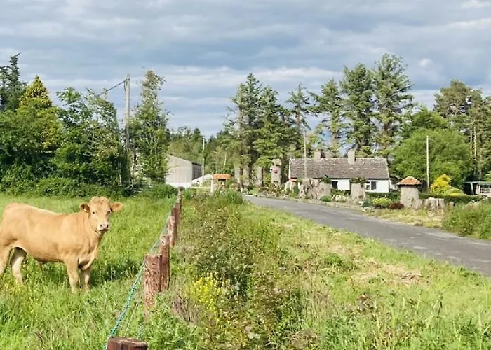 Harmony House * Роскоммон